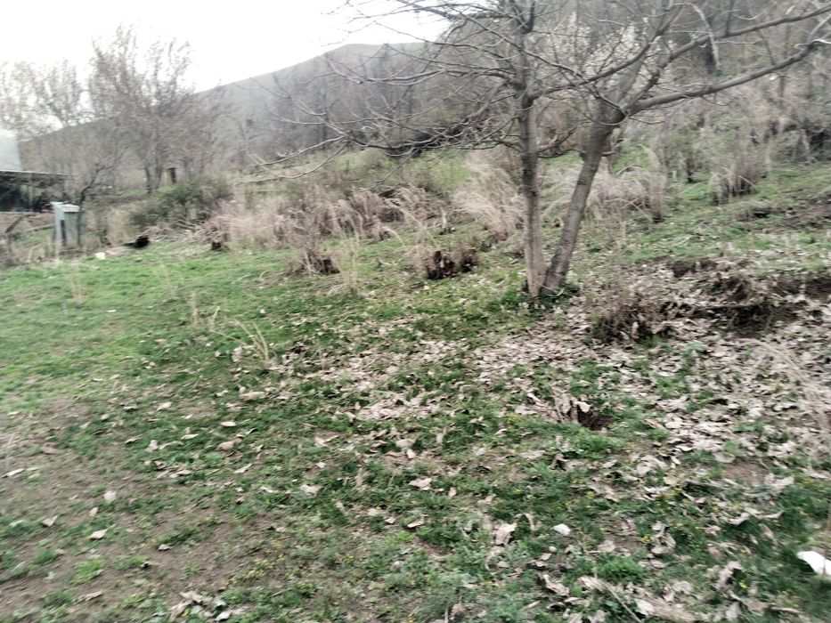 Продам Дачный участок в ПКСО ,,Рябинушка,,