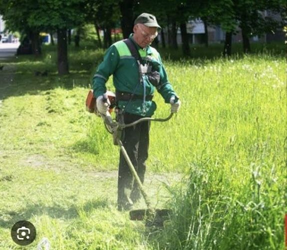 Газон кесиш хизмати тез ва сифатли