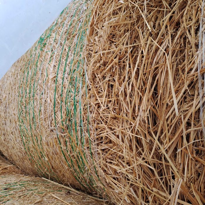 Vând baloti rotunzi