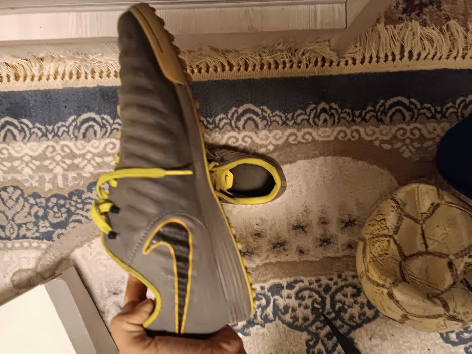 Сороконожки темпо