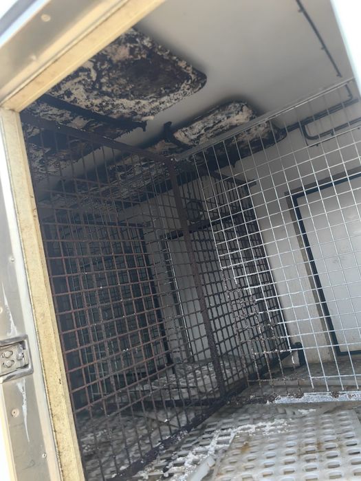 Iveco Daily 29L10 transport înghețată-40°C