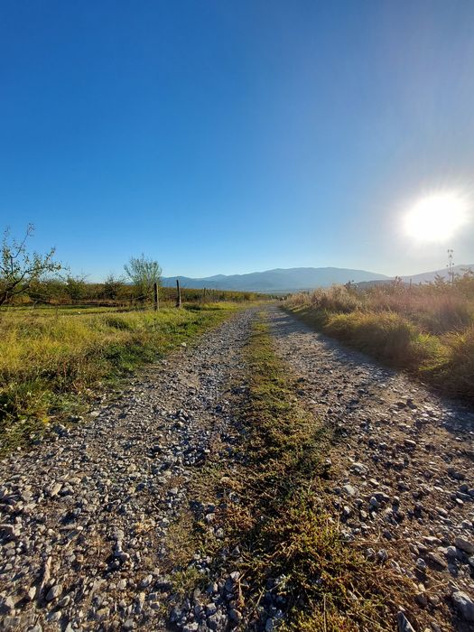 Овощна градина с.Дворище