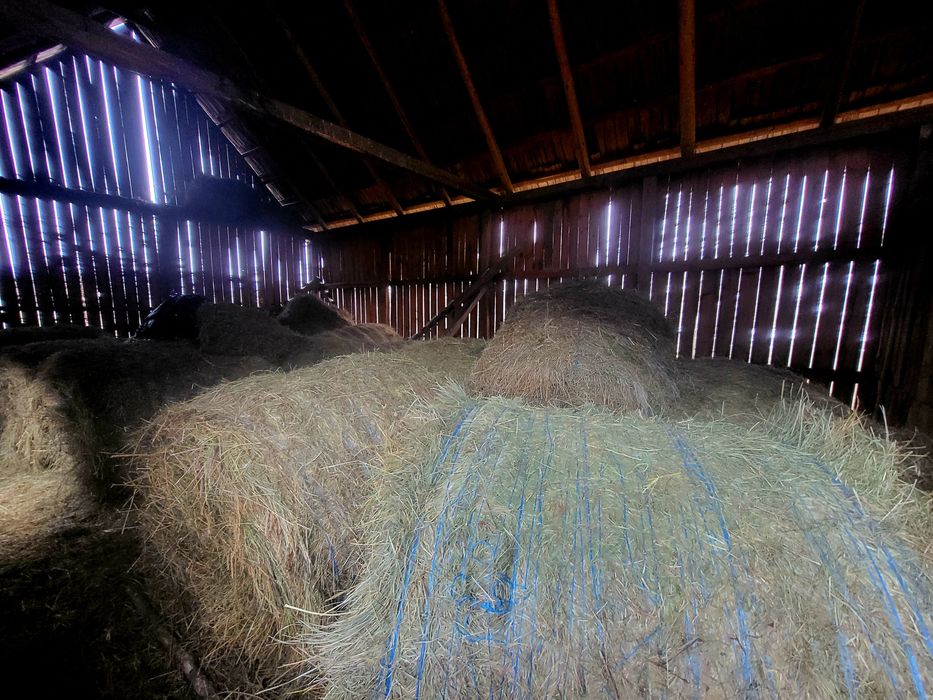 De vânzare balotii rotunzi