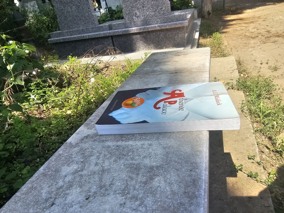 Athenee Palace de Rosa Goldschmidt Waldeck