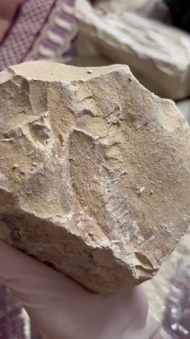 Уральская глина оптом