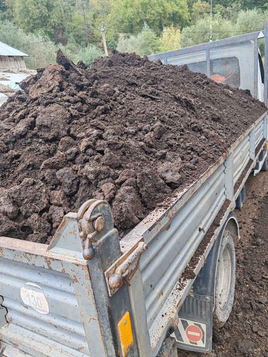 Balegar mranita putred de oaie ,gunoi de grajd uscat si curat de 3 ani