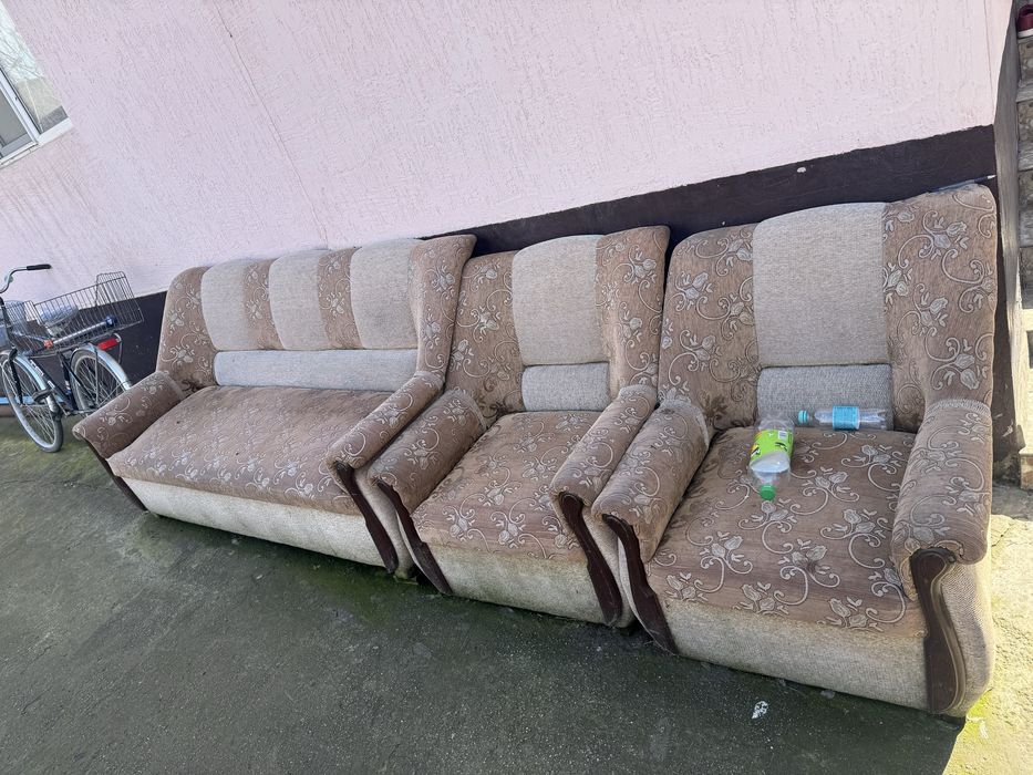 Отын ағаштар тегін