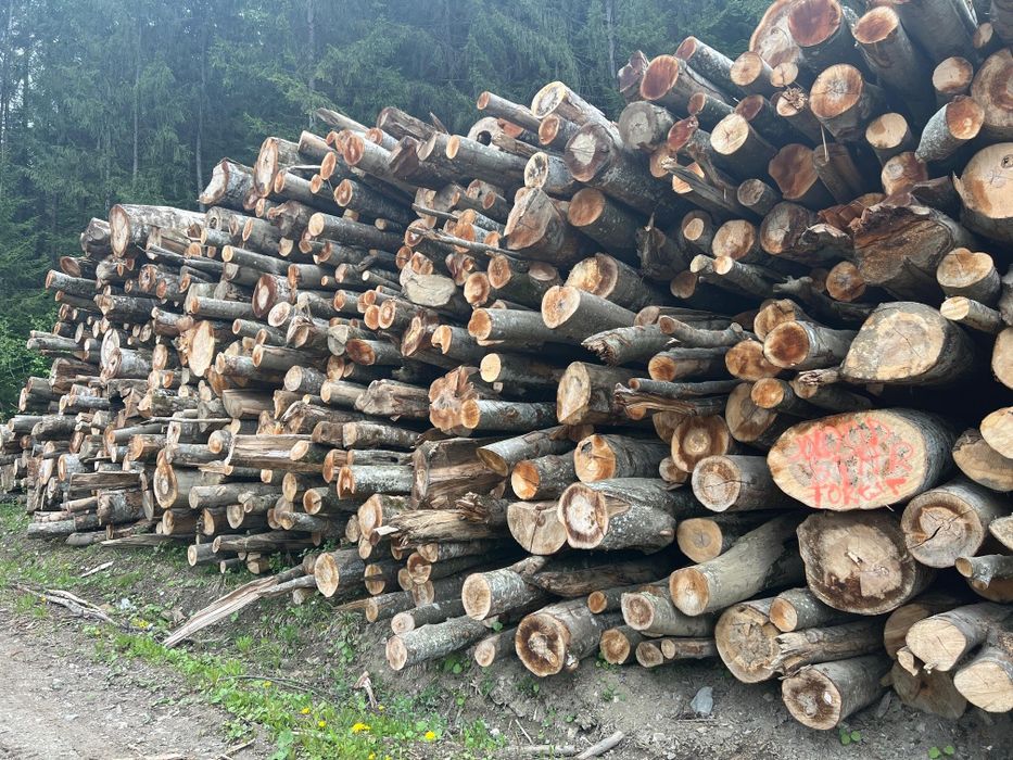 Lemn de foc fag si diverse tari