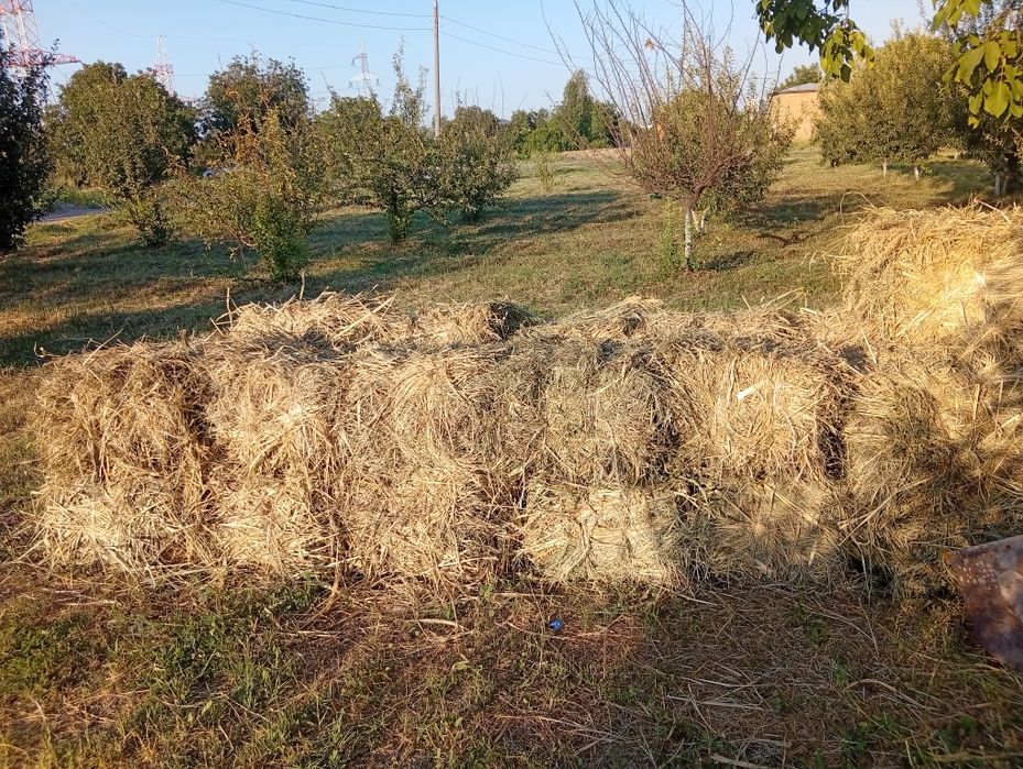 Hashak beda aralash  press 2-o'rim