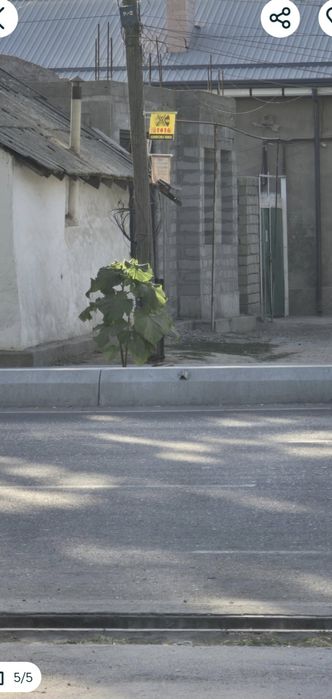 Уй Оазис кафе ропарасида