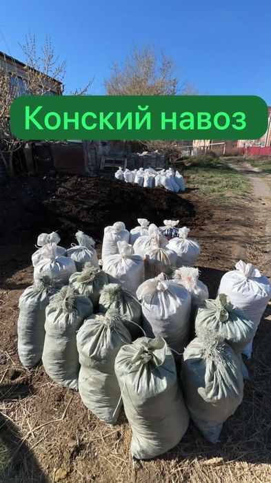 Перегной конский в мешках, доставка
