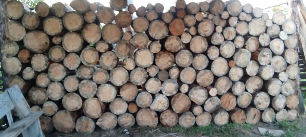 Продам дрова сосна чурки