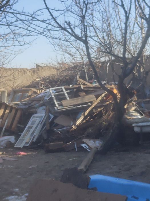 Утин бор сотаман