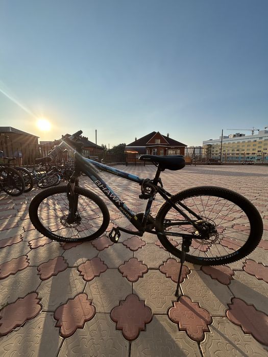 Велик из 2022 года