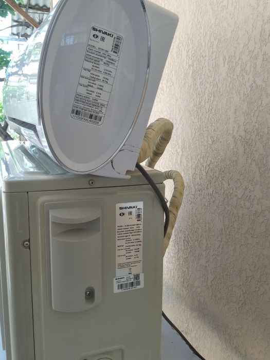 Кандисанер Шиваки Сакура.