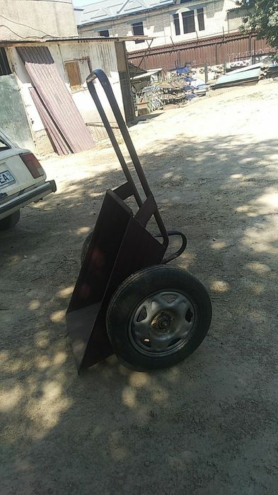 Arava ikki  gilderli arava