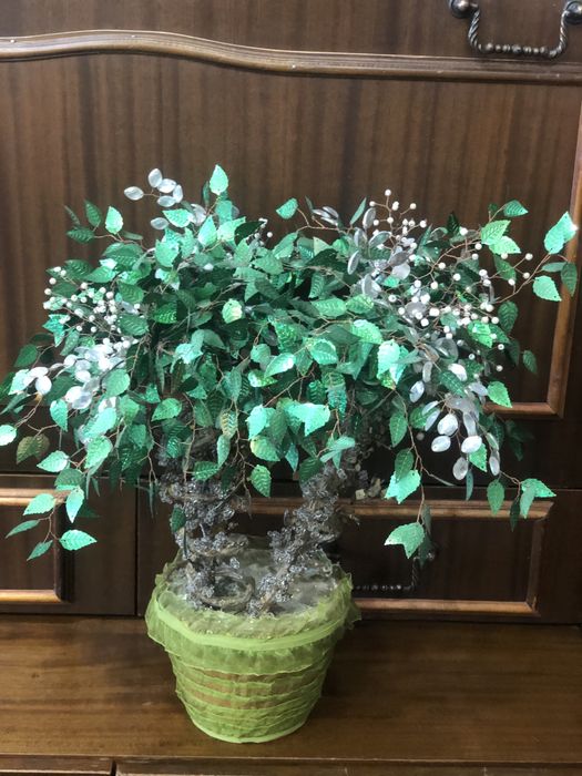 Денежный цветок