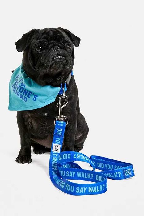 Lesa Zgarda Wild & Woofy Dog Walk Leash