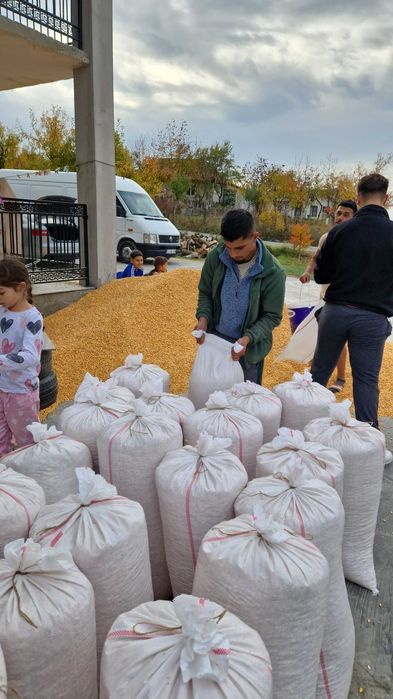 Transport gratuit porumb si grau uscat la 1.1kg va servim la domiciliu