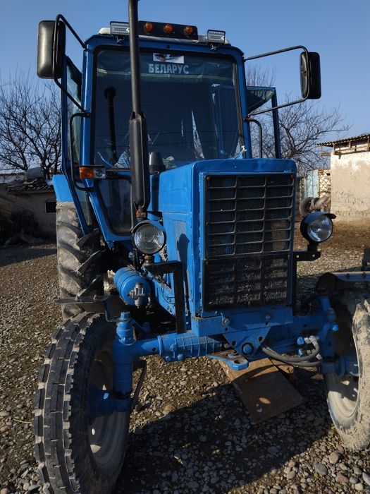 Pussy porno soqol ayol mushuklar