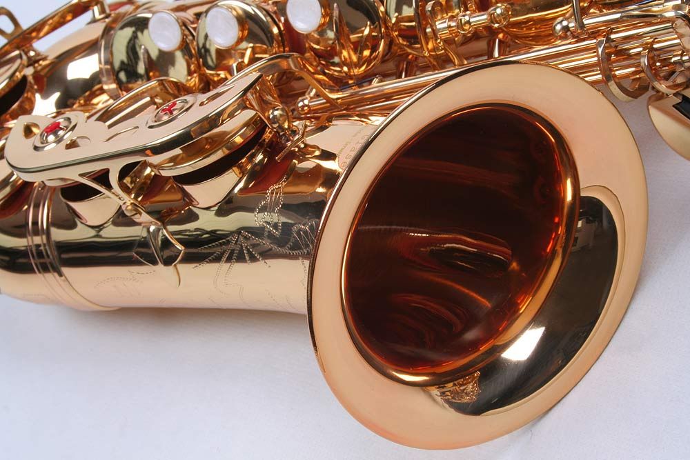 Saxofon Alto Karl Glaser AURIU curbat Sax NOU Saxophone Germania