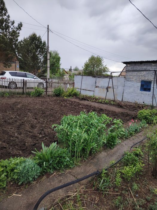 Продажа дача летний вариант