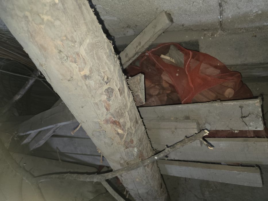 Срочно продам дрова