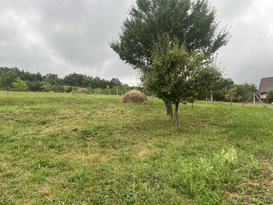 Teren Intravilan Unirea Viile cu Pomi