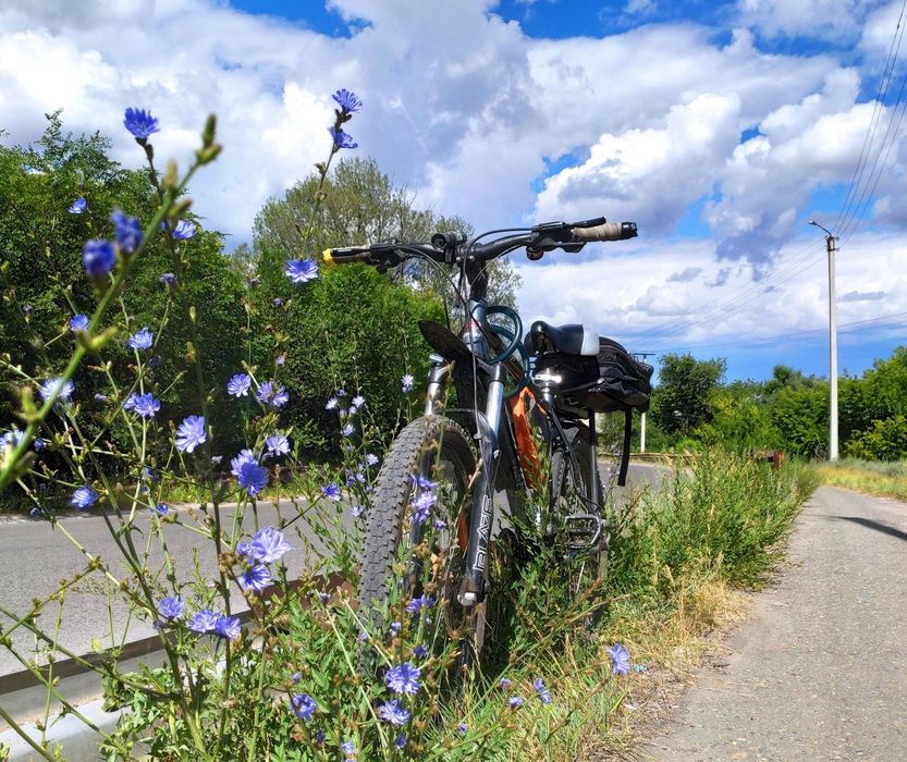 Велосипед NOMAD Tayburyl