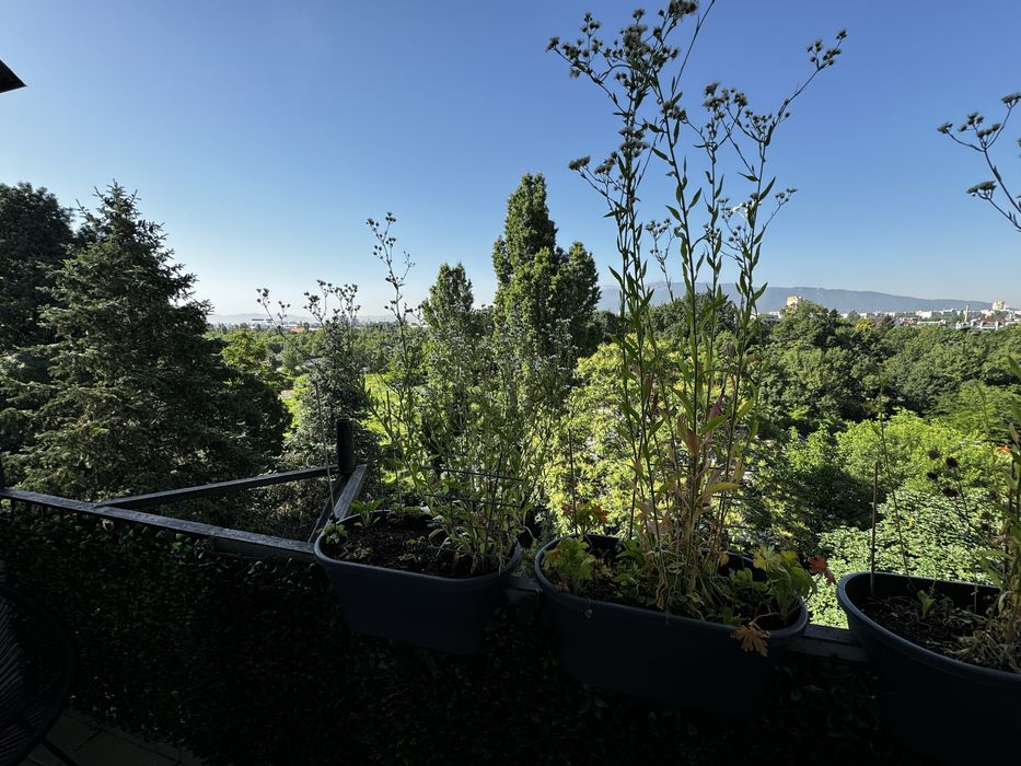 Дава се под наем Тристаен апартамент в София, Толстой - 67 кв.м за 600 € - Снимка #8