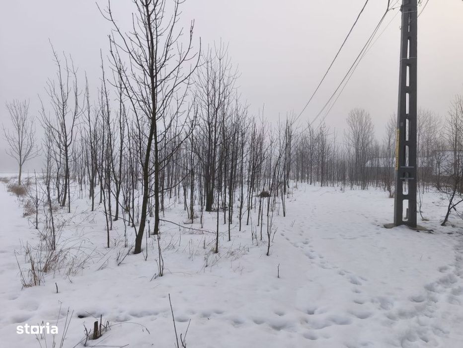 Teren intravilan , 5000mp, zona Negostina, Siret