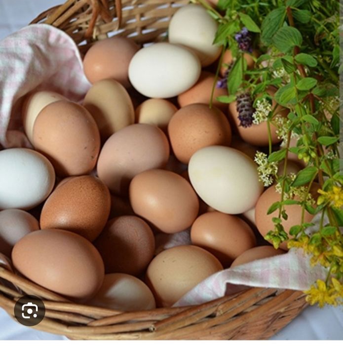 Продам домашние яйца