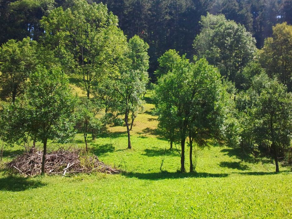 intravilan,4350m,Sinaia-Posada,muzeu,castel,,intrare din DN1,Prahova