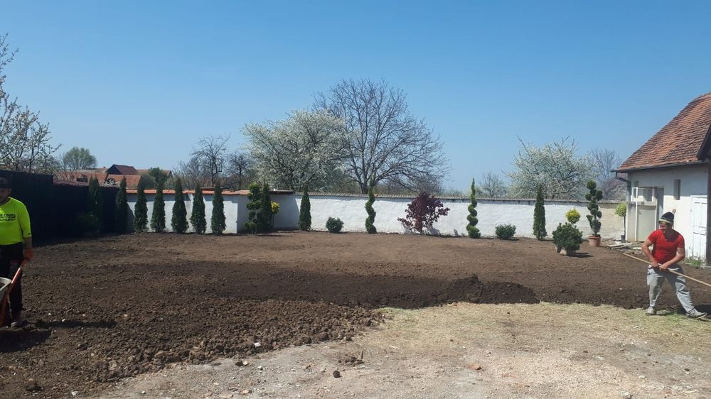 Gazon rulou si insamantare