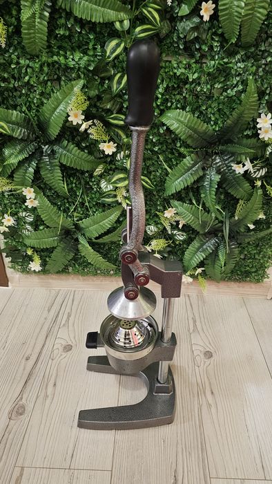 Storcător profesional de fructe