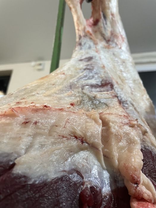 Семіз Қашар Еті “Қостанай-Рудный”