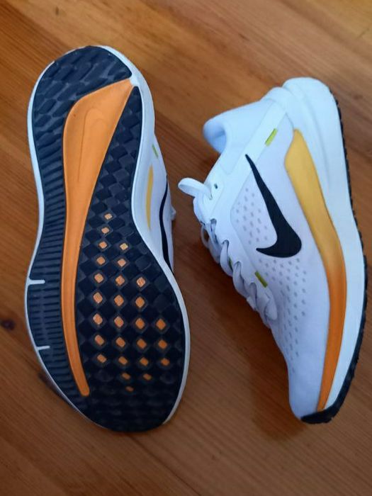 Кросовки Оригинал, Nike Аir Winflo 10