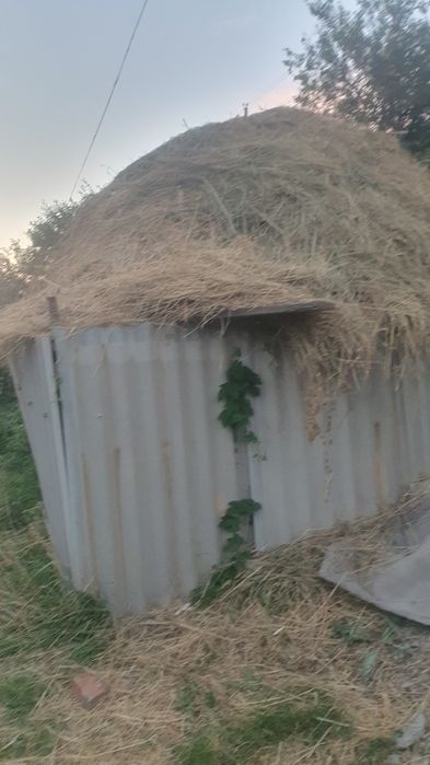 Шөп сатылады,продам сено