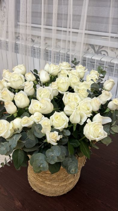 51 шт розы белые свежие