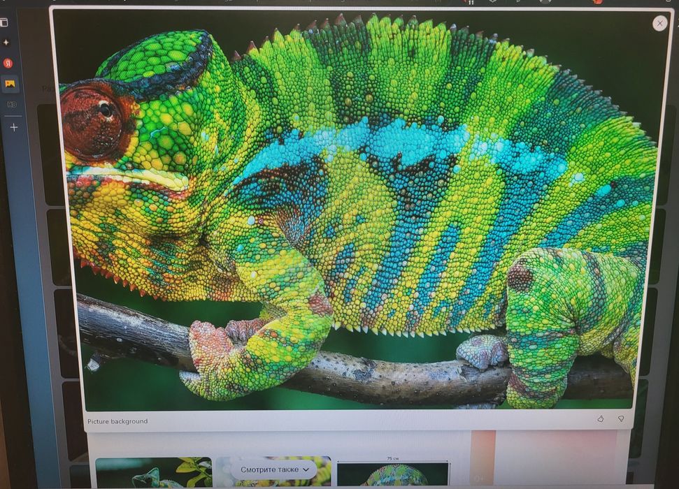 Продам монитор samsung SyncMaster 943n