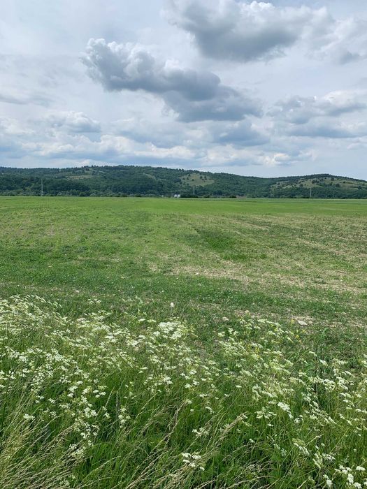 Vând teren agricol extravilan, 2.800 mp – între Râșnov și Zărnești