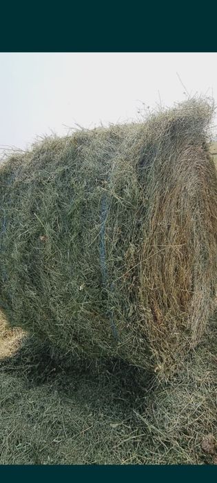 Продажа сено 8000