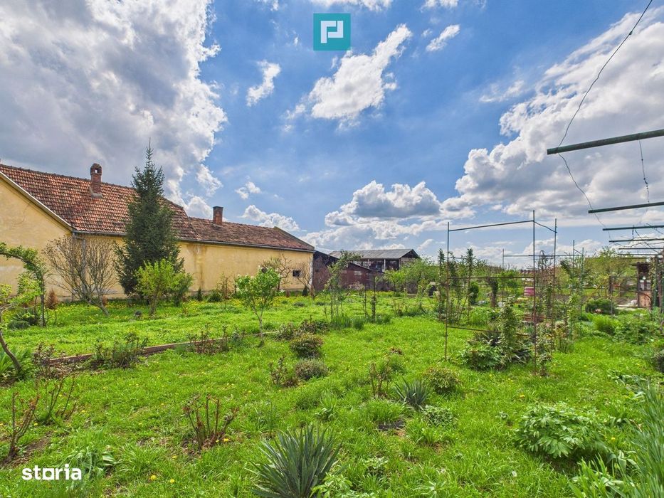 Teren 1300 mp, Beregsău Mare