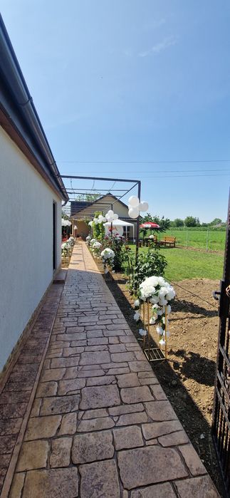 Decorațiuni evenimente