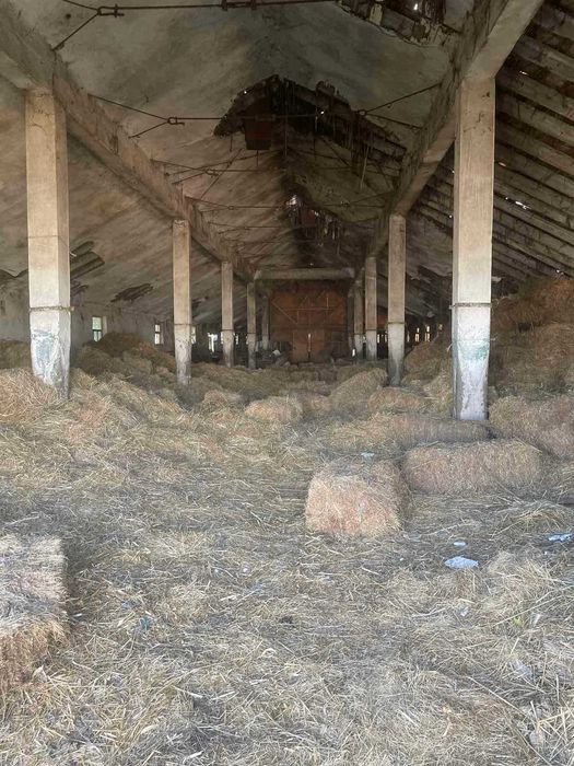 Продава се Промишлена сграда в с. Радишево, Област Плевен - 32000 кв.м за 0 €/кв.м - Снимка #7