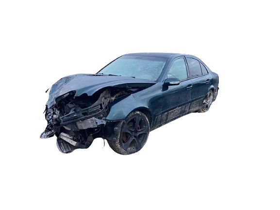 Perie interior geam usa spate stanga Mercedes-Benz E-Class W211/S211