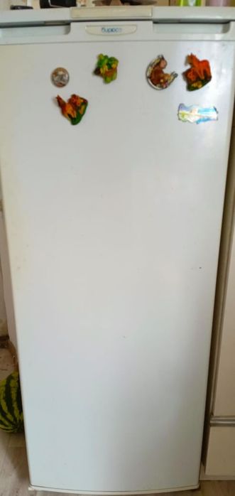 Холодильник "Бирюса"