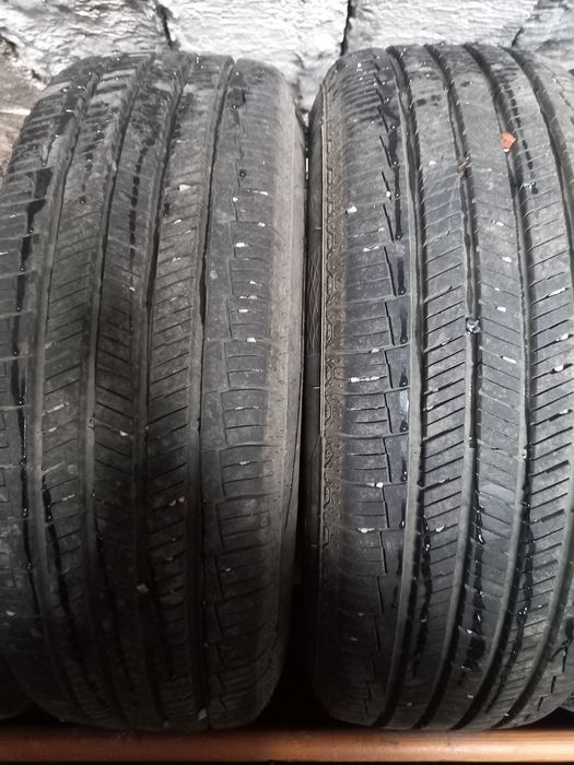 Шины летние nexen