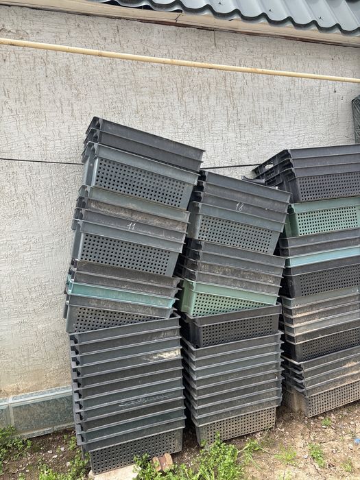 Ящик для фрукт 59 шт