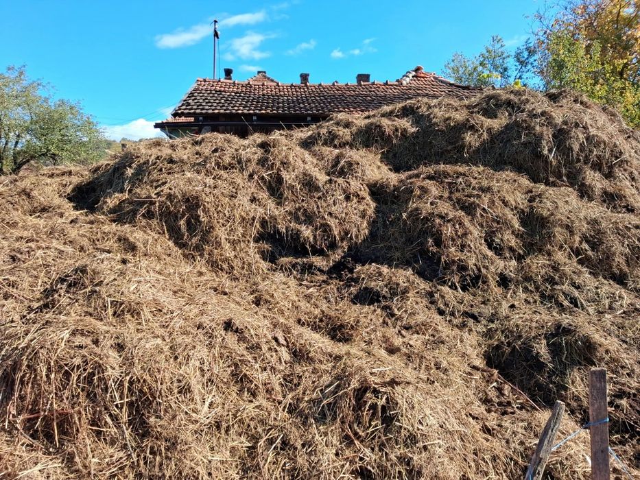 Vând gunoi de grajd vechi, bine fermentat – preț avantajos